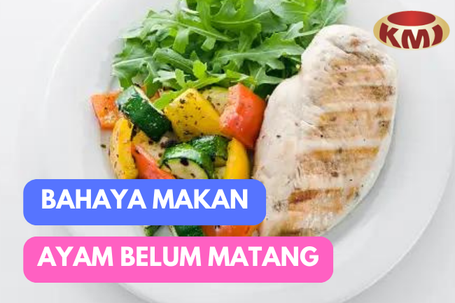  Ketahuilah Bahaya Makan Daging Ayam yang Belum Matang